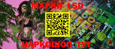 СК Обь