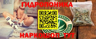 СК Обь