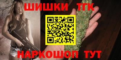 СК Обь